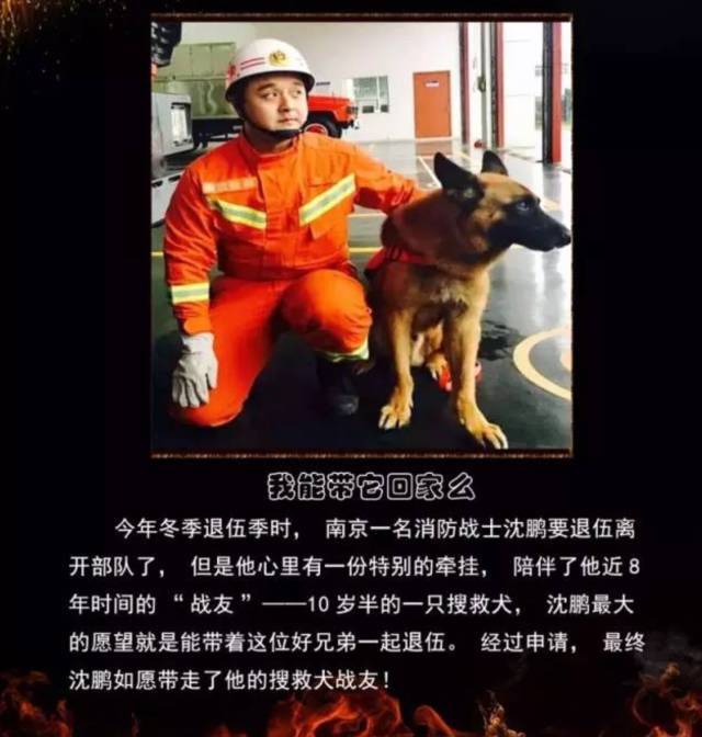 浴火重生的逆行者，肌肉越大責任越大，這才是真漢子——中國消防員(圖23)