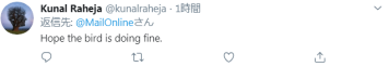 剛確診新冠一星期，巴西總統(tǒng)喂鴕鳥(niǎo)時(shí)又被咬了，網(wǎng)友卻希望“鳥(niǎo)沒(méi)事”(圖4)