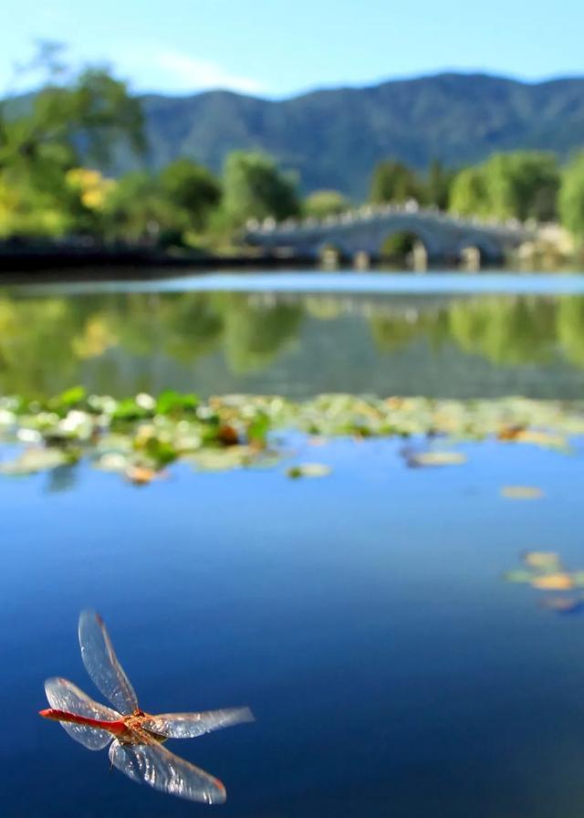 今日大暑丨迎風沐雨，憧憬未來(圖5)