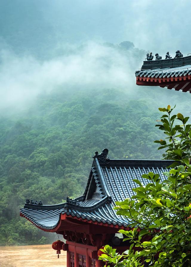 今日大暑丨迎風沐雨，憧憬未來(圖3)